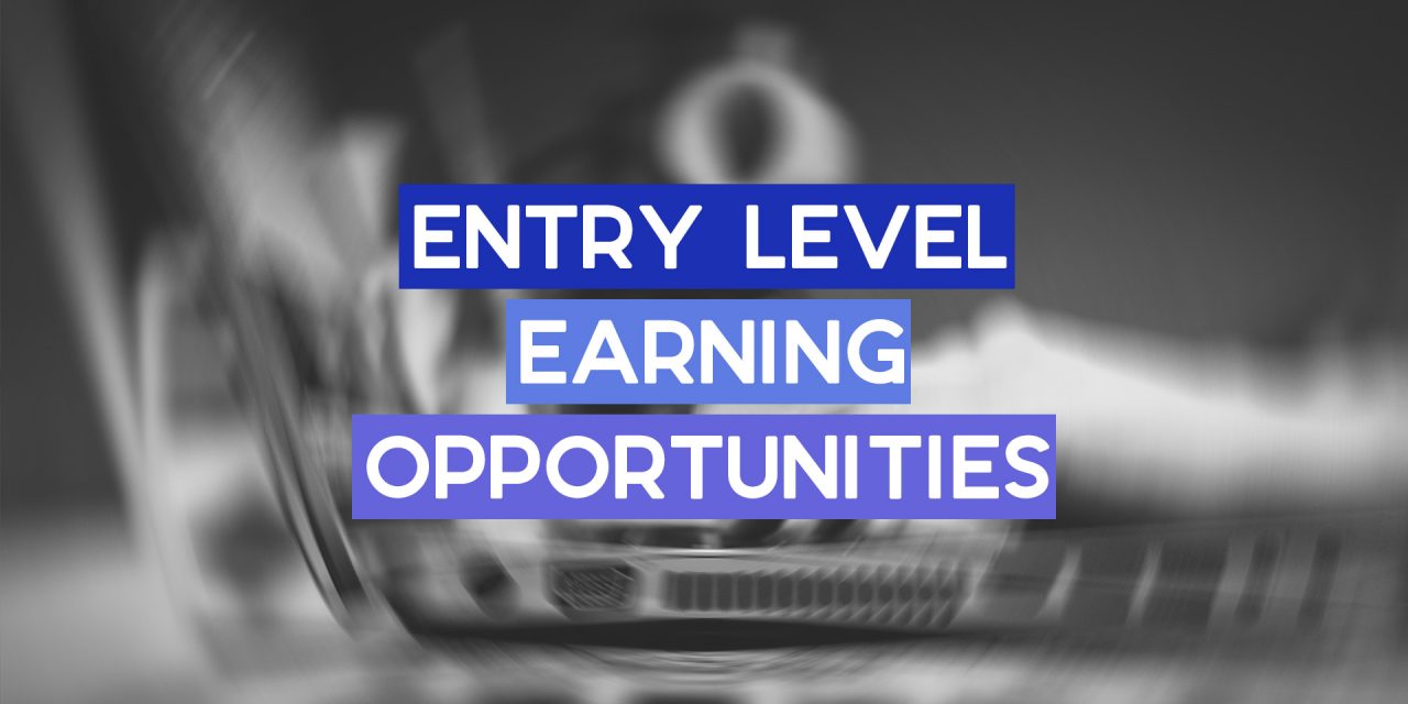 Entry-Level Online Earning Opportunities