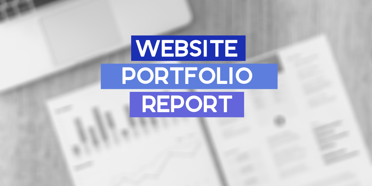 What’s in My Website Portfolio Report