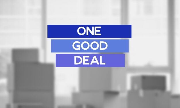 One Good Deal Review: Amazon Deal Sourcing Service