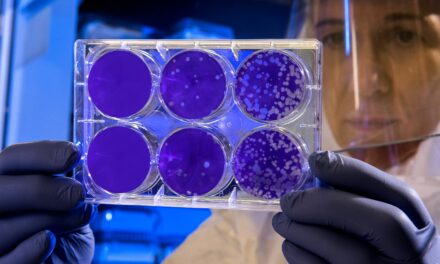 What is cord blood banking?